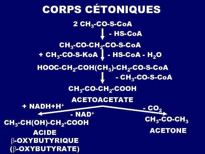 CORPS CÉTONIQUES 2 CH 3 -CO-S-Co. A - HS-Co. A CH 3 -CO-CH 2