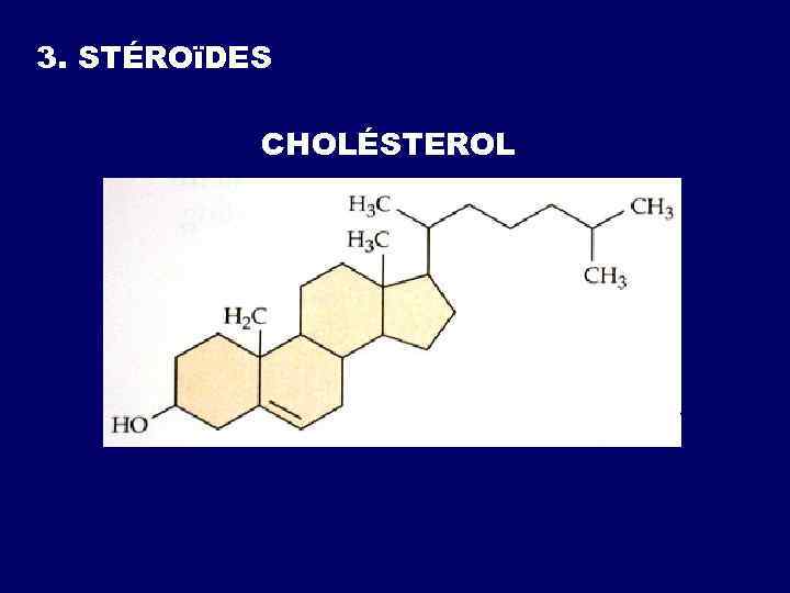 3. STÉROïDES CHOLÉSTEROL 