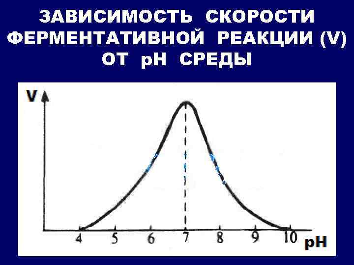 ЗАВИСИМОСТЬ СКОРОСТИ ФЕРМЕНТАТИВНОЙ РЕАКЦИИ (V) ОТ р. Н СРЕДЫ 