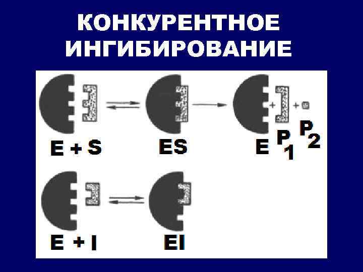 КОНКУРЕНТНОЕ ИНГИБИРОВАНИЕ 