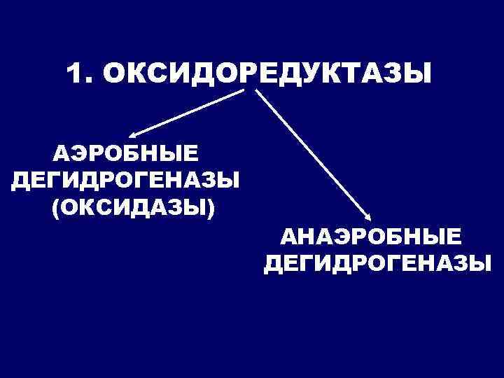 1. ОКСИДОРЕДУКТАЗЫ АЭРОБНЫЕ ДЕГИДРОГЕНАЗЫ (ОКСИДАЗЫ) АНАЭРОБНЫЕ ДЕГИДРОГЕНАЗЫ 