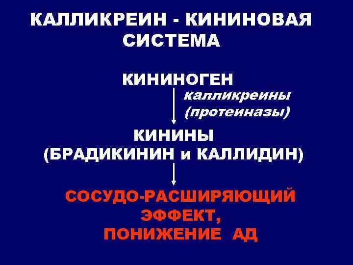 КАЛЛИКРЕИН - КИНИНОВАЯ СИСТЕМА КИНИНОГЕН калликреины (протеиназы) КИНИНЫ (БРАДИКИНИН и КАЛЛИДИН) СОСУДО-РАСШИРЯЮЩИЙ ЭФФЕКТ, ПОНИЖЕНИЕ