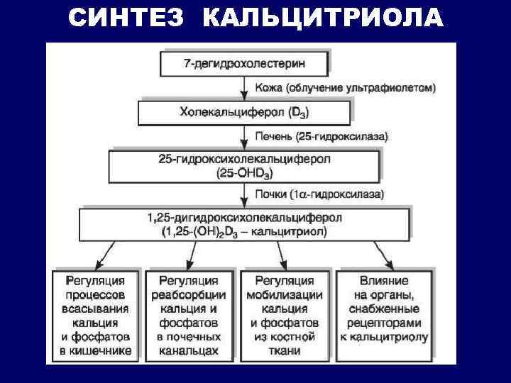 СИНТЕЗ КАЛЬЦИТРИОЛА 