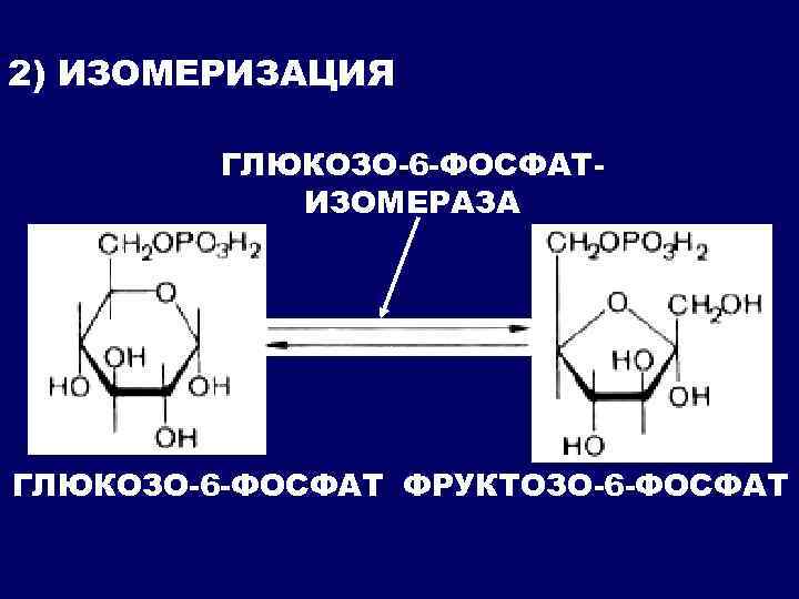 2) ИЗОМЕРИЗАЦИЯ ГЛЮКОЗО-6 -ФОСФАТИЗОМЕРАЗА ГЛЮКОЗО-6 -ФОСФАТ ФРУКТОЗО-6 -ФОСФАТ 