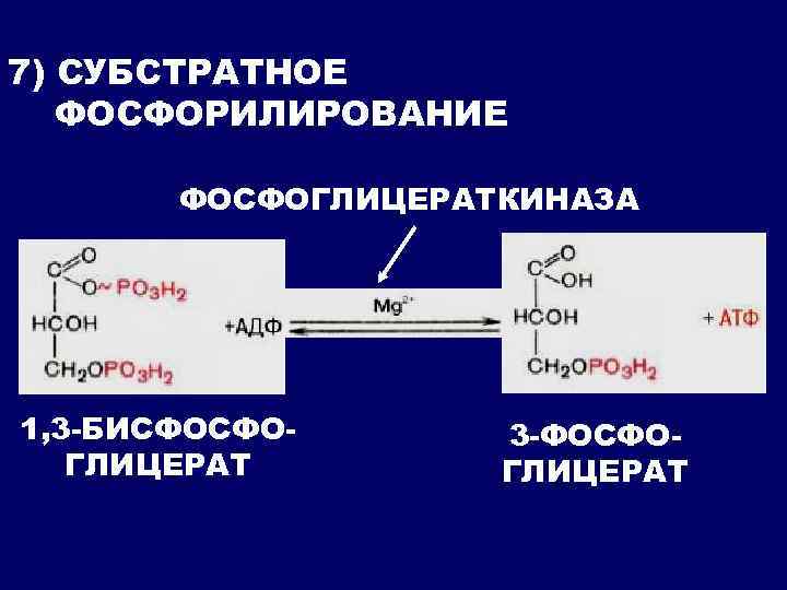 7) СУБСТРАТНОЕ ФОСФОРИЛИРОВАНИЕ ФОСФОГЛИЦЕРАТКИНАЗА 1, 3 -БИСФОСФОГЛИЦЕРАТ 3 -ФОСФОГЛИЦЕРАТ 