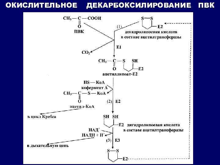 ОКИСЛИТЕЛЬНОЕ ДЕКАРБОКСИЛИРОВАНИЕ ПВК 