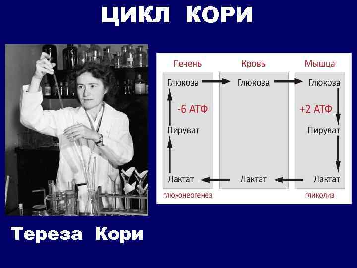 ЦИКЛ КОРИ Тереза Кори 