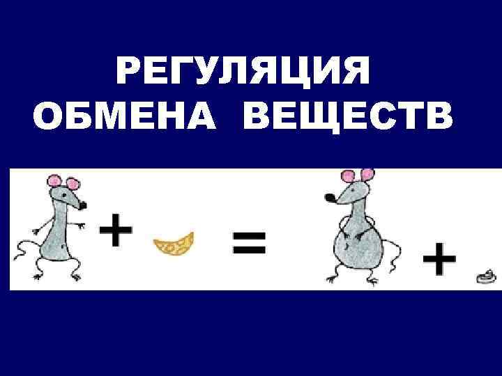 РЕГУЛЯЦИЯ ОБМЕНА ВЕЩЕСТВ 