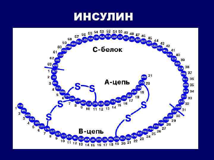 ИНСУЛИН 