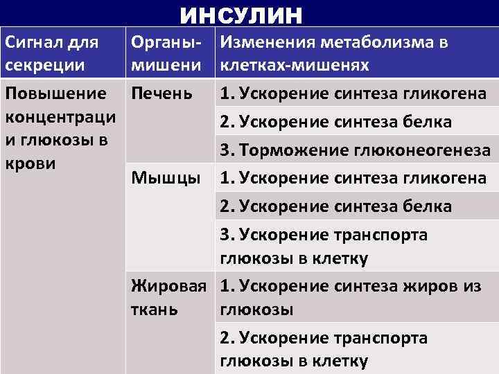 ИНСУЛИН Сигнал для Органы- Изменения метаболизма в секреции мишени клетках-мишенях Повышение Печень 1. Ускорение