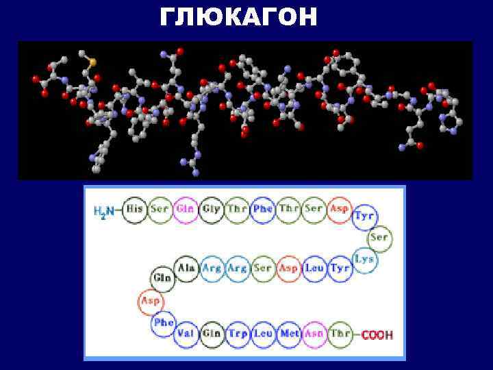 ГЛЮКАГОН 