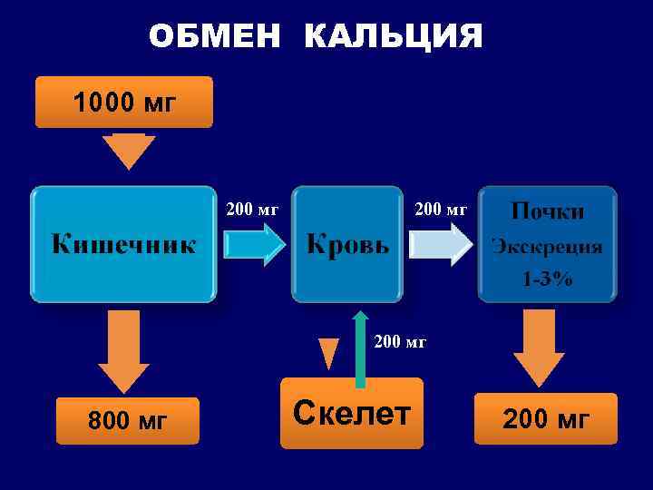 Обмен кальция. Обмен кальция этапы. Смешанный обмен кальция. Калевый обмен в Оксоне.