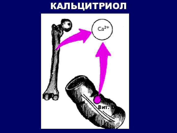 КАЛЬЦИТРИОЛ 