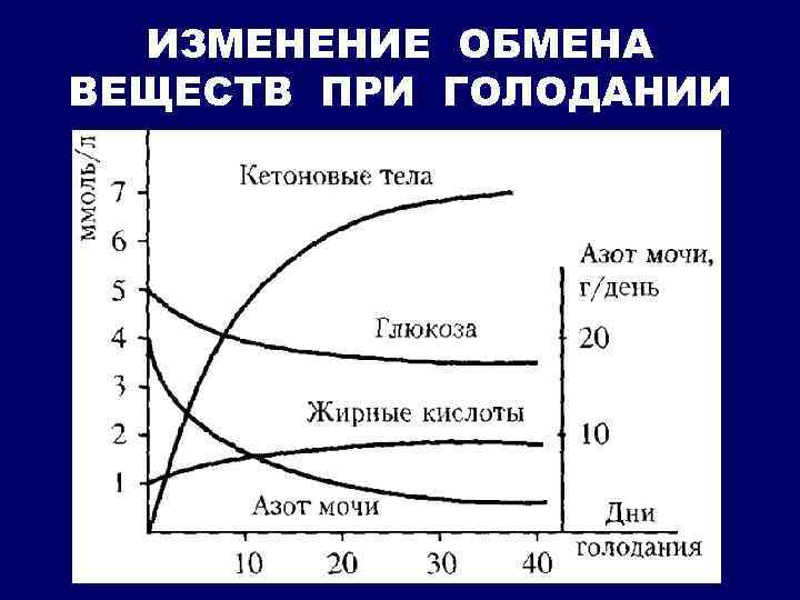 ИЗМЕНЕНИЕ ОБМЕНА ВЕЩЕСТВ ПРИ ГОЛОДАНИИ 