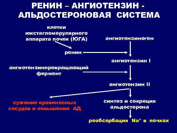 Ренин ангиотензин альдостероновая система презентация