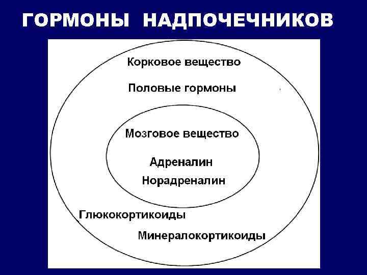 ГОРМОНЫ НАДПОЧЕЧНИКОВ 