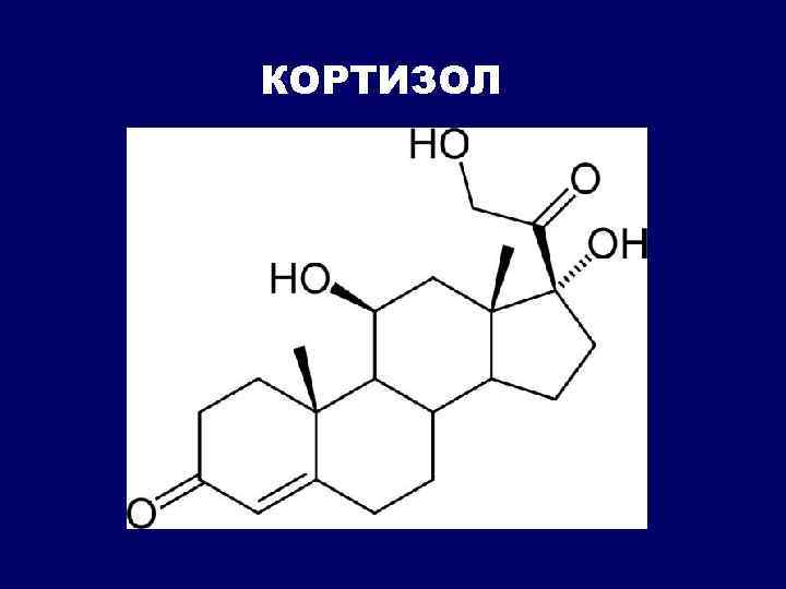 КОРТИЗОЛ 