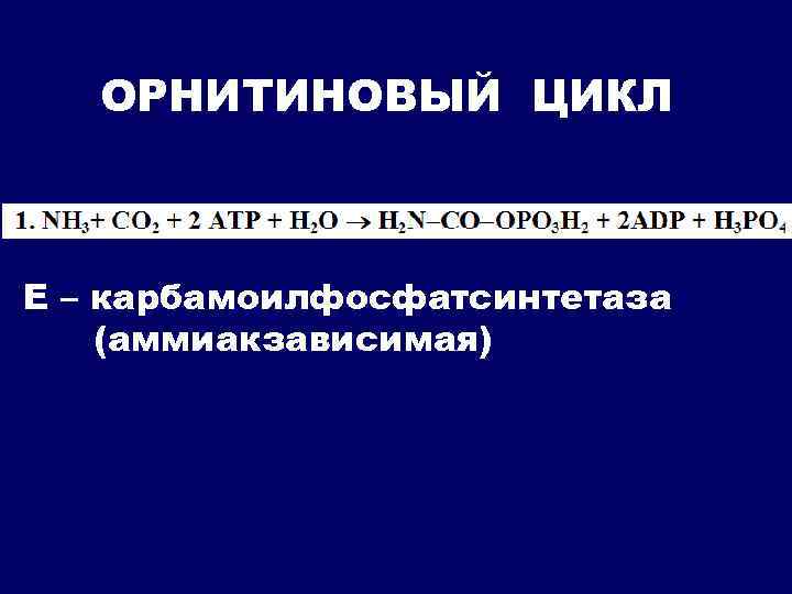 ОРНИТИНОВЫЙ ЦИКЛ Е – карбамоилфосфатсинтетаза (аммиакзависимая) 
