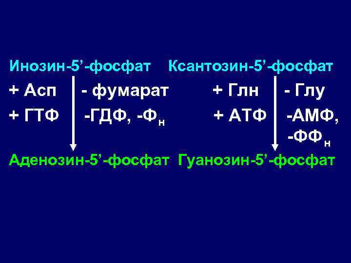 Инозин-5’-фосфат + Асп + ГТФ Ксантозин-5’-фосфат - фумарат -ГДФ, -Фн + Глн - Глу