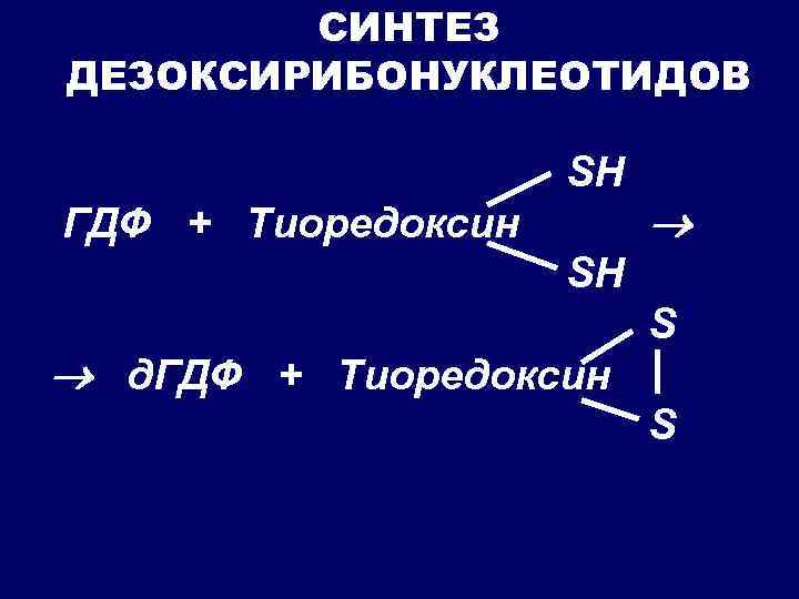 СИНТЕЗ ДЕЗОКСИРИБОНУКЛЕОТИДОВ SН ГДФ + Тиоредоксин SН д. ГДФ + Тиоредоксин S S 