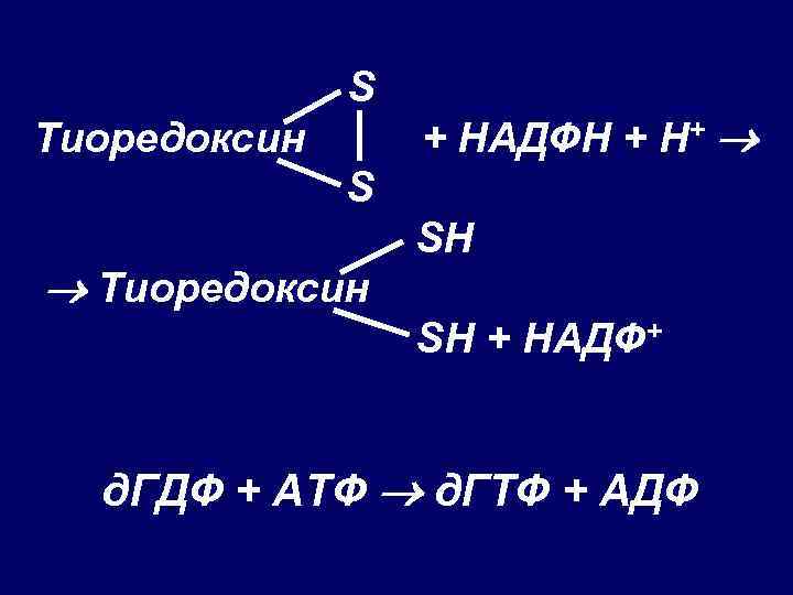 S Тиоредоксин + НАДФН + Н+ S Тиоредоксин SH SH + НАДФ+ д. ГДФ