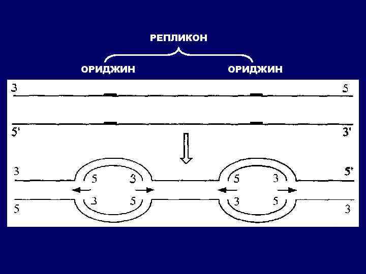 РЕПЛИКОН ОРИДЖИН 