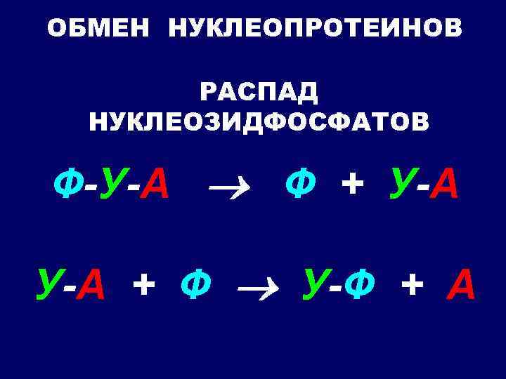 ОБМЕН НУКЛЕОПРОТЕИНОВ РАСПАД НУКЛЕОЗИДФОСФАТОВ Ф-У-А Ф + У-А + Ф У-Ф + А 