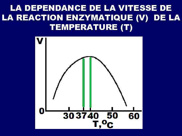 LA DEPENDANCE DE LA VITESSE DE LA REACTION ENZYMATIQUE (V) DE LA TEMPERATURE (Т)