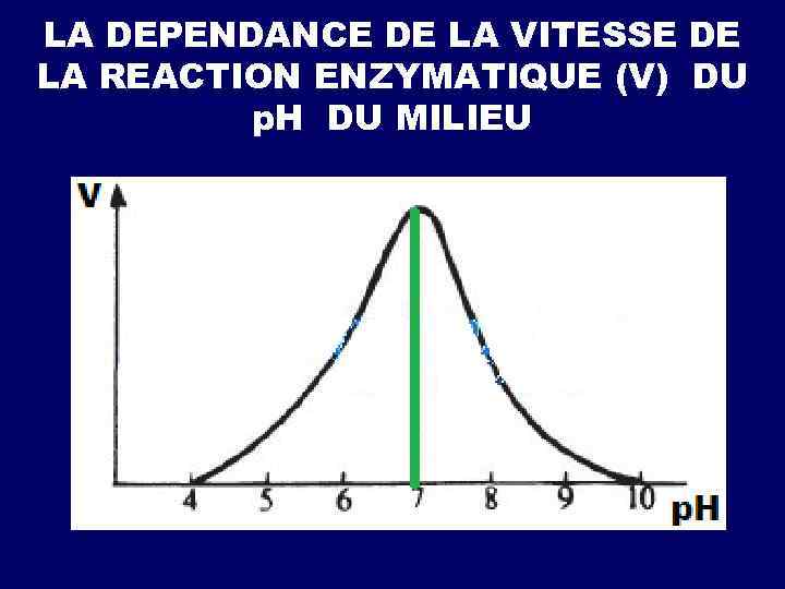 LA DEPENDANCE DE LA VITESSE DE LA REACTION ENZYMATIQUE (V) DU р. Н DU