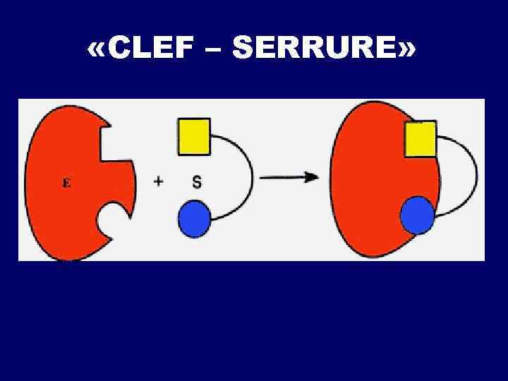  «CLEF – SERRURE» 
