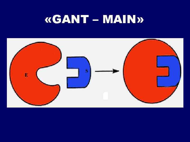  «GANT – MAIN» 