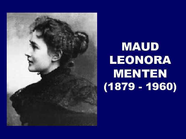 MAUD LEONORA MENTEN (1879 - 1960) 