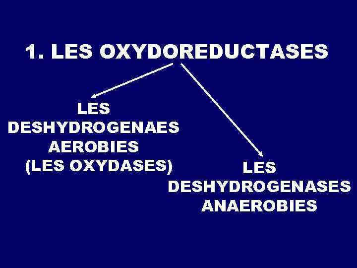 1. LES OXYDOREDUCTASES LES DESHYDROGENAES AEROBIES (LES OXYDASES) LES DESHYDROGENASES ANAEROBIES 