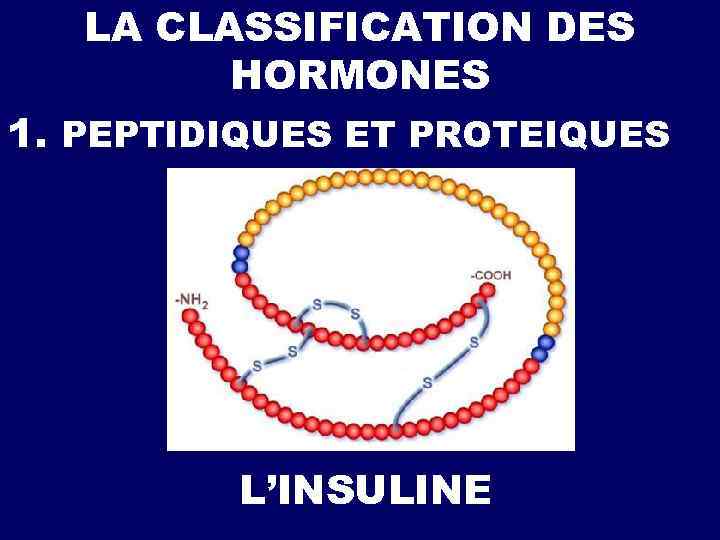 LA CLASSIFICATION DES HORMONES 1. PEPTIDIQUES ET PROTEIQUES L’INSULINE 