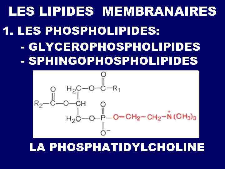 LES LIPIDES MEMBRANAIRES 1. LES PHOSPHOLIPIDES: - GLYCEROPHOSPHOLIPIDES - SPHINGOPHOSPHOLIPIDES LA PHOSPHATIDYLCHOLINE 