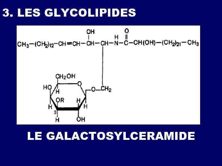 3. LES GLYCOLIPIDES LE GALACTOSYLCERAMIDE 