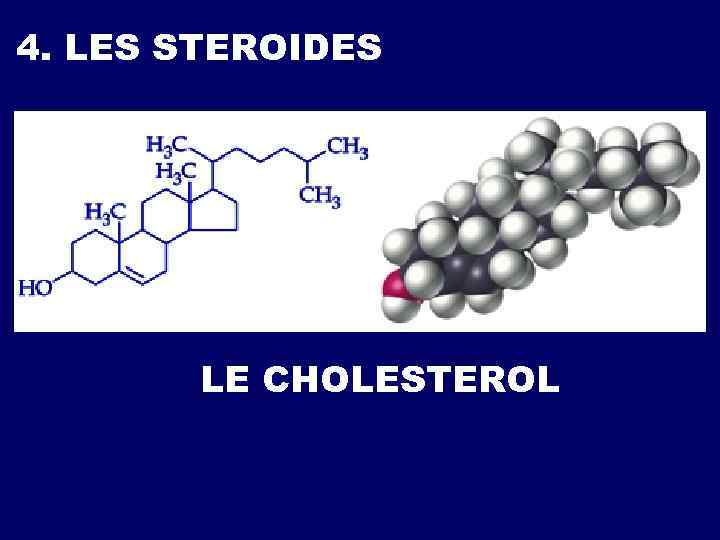 4. LES STEROIDES LE CHOLESTEROL 