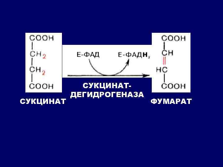 Схема катаболизма пвк