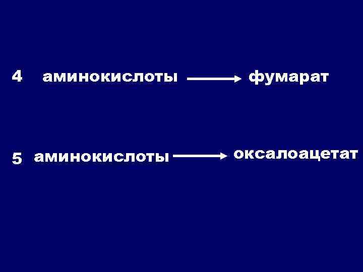 4 аминокислоты 5 аминокислоты фумарат оксалоацетат 