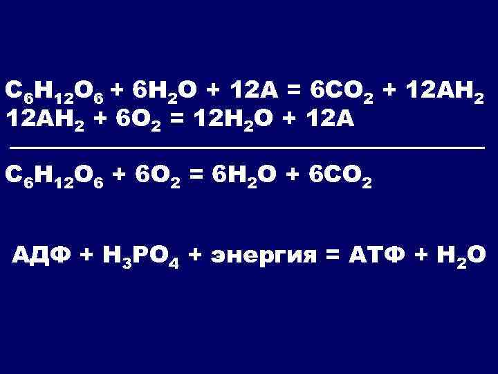 C 6 Н 12 О 6 + 6 Н 2 О + 12 А