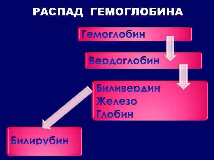 РАСПАД ГЕМОГЛОБИНА 