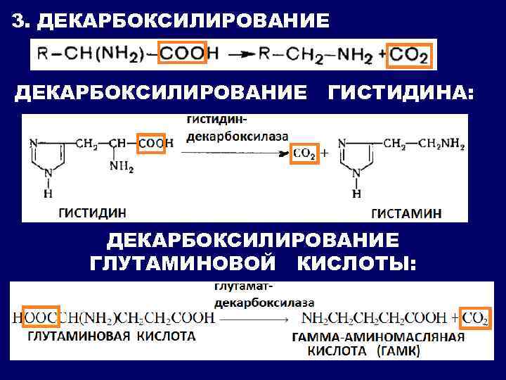 Реакция in vivo. Декарбоксилирование аминокислоты ггистидина. Декарбоксилирование аминокислот биохимия. Механизм декарбоксилирования глутамата. Декарбоксилирование аминокислот ГАМК.