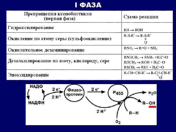 I ФАЗА 