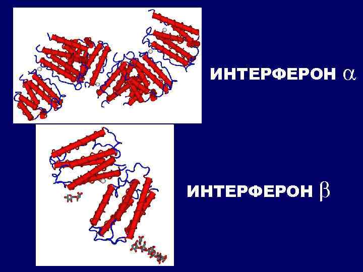 ИНТЕРФЕРОН 