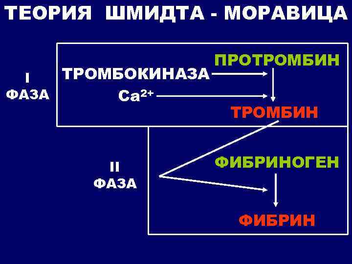 ТЕОРИЯ ШМИДТА - МОРАВИЦА ТРОМБОКИНАЗА I ФАЗА Са 2+ II ФАЗА ПРОТРОМБИН ФИБРИНОГЕН ФИБРИН