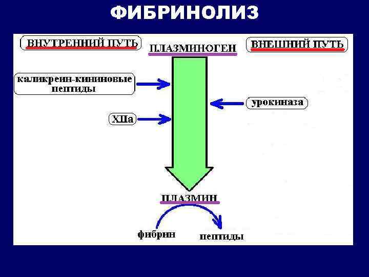 ФИБРИНОЛИЗ 