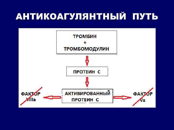 АНТИКОАГУЛЯНТНЫЙ ПУТЬ 