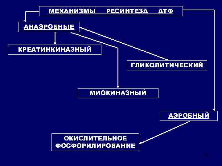 Презентация биохимия нервной системы