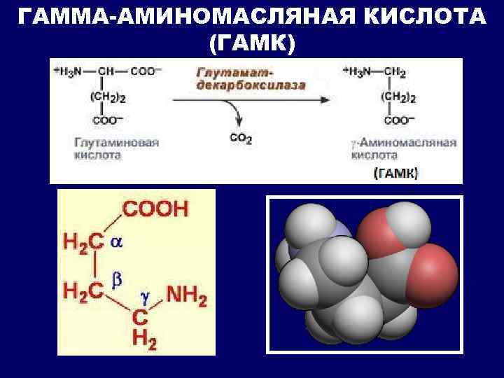ГАММА-АМИНОМАСЛЯНАЯ КИСЛОТА (ГАМК) 