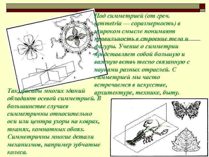 Под симметрией (от греч. symmetria — соразмерность) в широком смысле понимают правильность в строение